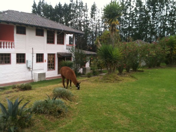 Tababela, Ecuador